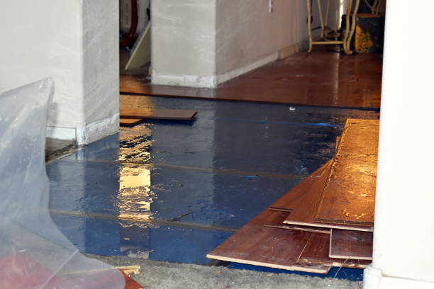 Professional Basement Flood Cleanup technician working in Wadsworth, TX